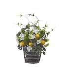 Regency International Flowering Lemon & Blueberry Wall Basket 15