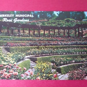 California Postcard - Berkeley Municipal Rose Gardens Euclid Ave - Picture 1 of 3