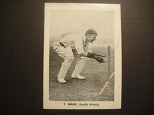 D C THOMSON THE ROVER XL CRICKETERS THOMAS A WARD SOUTH AFRICA WICKET KEEPER