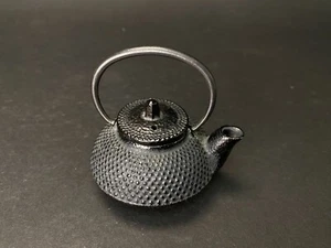 Japanese Mini Cast Iron Teapot Mini Tea Kettle Cast Decor Nanbu Tekki - Picture 1 of 5