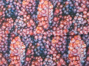 Vineyard Harvest Traube Purpur Rottöne JO-ANN Baumwollstoff 18" x 42" W NEU - Bild 1 von 5