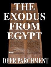 TORAH SCROLL BIBLE VELLUM MANUSCRIPT FRAGMENT 350 YRS YEMEN Exodus from Egypt