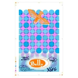 Póster de concierto de la gira Dove de BELLY 2018 firmado por Tanya Donelly 18"x24" - Imagen 1 de 1