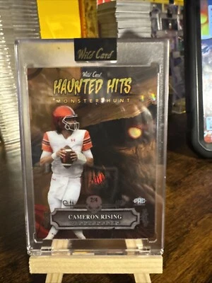 Haunted hits Cameron rising scarecrow 2/4 - Image 1 of 2