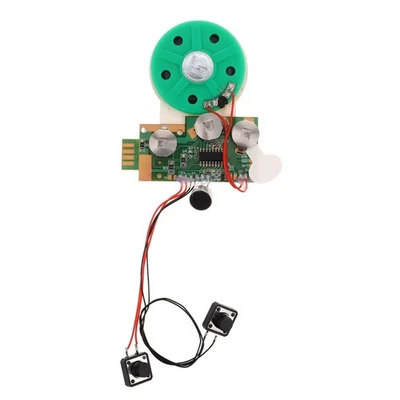 Recorded Greeting Card Module for Birthday and Christmas DIY - Image 1 of 4