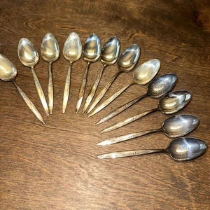 Oneida Community Silver Plate Sugar / Dessert Spoons Flatware 12 Pieces - Picture 1 of 4
