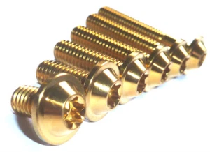 DORADO M6 x 15 Titanio Bajo Perfil T30 Torx Cabezal de Lavadora Perno Tornillo Carenado - Imagen 1 de 22