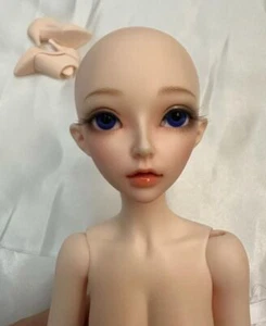 1/4 BJD Doll FL Minifee Celine Normal Skin -Free Face Make UP+Free Eyes - Picture 1 of 10