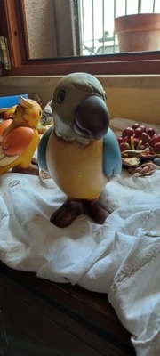 Thun Pappagallo Tucano - Immagine 1 di 3