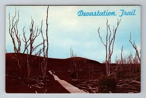 HI-Hawaii, Devastation Trail, Antique, Vintage Souvenir Postcard - Picture 1 of 2