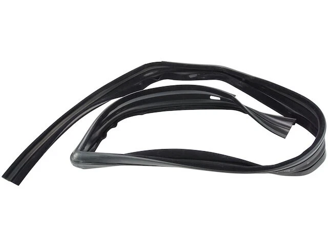 Front Left Door Window Glass Run Channel For 1987-1996 Dodge Dakota 1993 NP426MS - Image 1 of 1