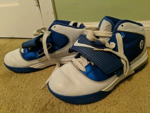Hombre Talla 7.5 2010 Nike Air Max Witness LeBron James 407630-103 Azul y Blanco   - Imagen 1 de 8