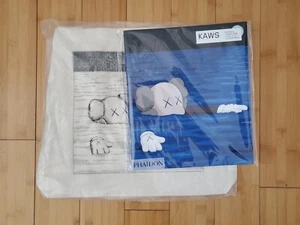 Artbook KAWS X UNIQLO Edition By Phaidon With Tote Bag IN HAND - Picture 1 of 1