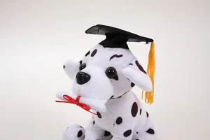 Graduation Pawpal Dalmatian - Picture 1 of 3
