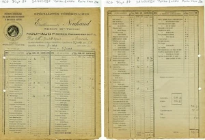 Dépt 87 - Nexon - Petite Entête Secteur Produits Vétérinaires du 31/07/1931 - Picture 1 of 1