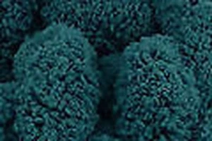 Wendy Expresso Bufanda De Moda Hilo 100g Sin Agujas - 2606 Verde Azulado - Imagen 1 de 1