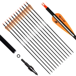 12Pcs 30 Inch Carbon Arrows Spine 500 Compound Recurve bow Archery  Hunting - Picture 1 of 13