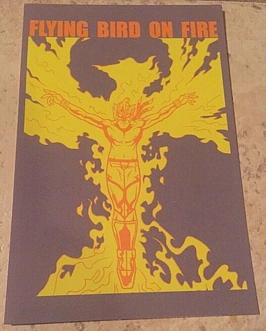 The Kaiser Flying Bird On Fire Postcard, Lucha Loot, Lucha Libre Graphic Artist Cover