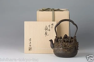 Japanese iron tea kettle pot - Premium / Dragon and Clouds - Takaoka Tetsubin - Picture 1 of 5