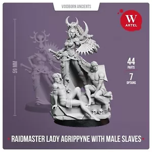 Lady Agrippyne mit männlichen Sklaven Artel W Drukhari Archon Vect Lhamaean Raidmaster - Bild 1 von 13