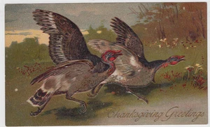 Antique 1909 Turkeys Running Embossed Thanksgiving Postcard - Picture 1 of 2