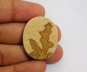 100% Natural Psilomelane Dendrita Druzy Cabujón Suelto Gema 53 Quilates ME-5000 - Picture 1 of 4
