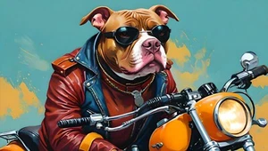 Pitbull Motorrad # 1 - T-Shirt Bügelbild Transfer - Bulldogge - Hund - Bild 1 von 1