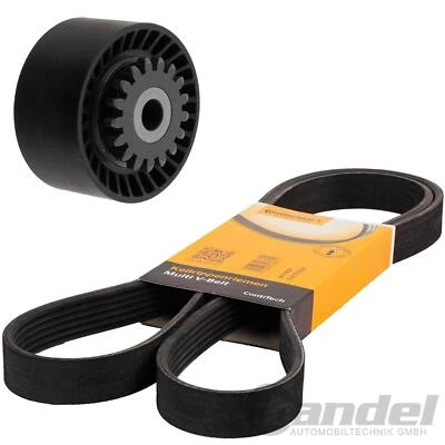 CONTI KEILRIPPENRIEMEN +SPANNROLLE passend für 1.2 RENAULT CLIO 3 MODUS TWINGO 2 - Bild 1 von 4