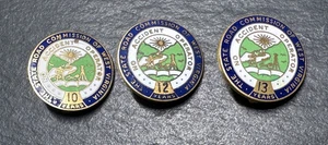 STATE ROAD COMMISSION OF WEST VIRGINIA 10, 12, 13 YEAR NO ACCIDENT PINS H478 - Picture 1 of 10