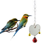  Heart Shape Single Face Mirror Parrot Bell Toy Pet Bird Mirror Toy Swing Bird