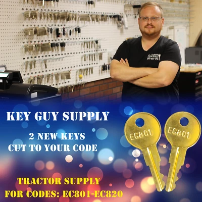 EC801-EC820 Pair of replacement keys for Tractor Supply locks. Cut to your code.