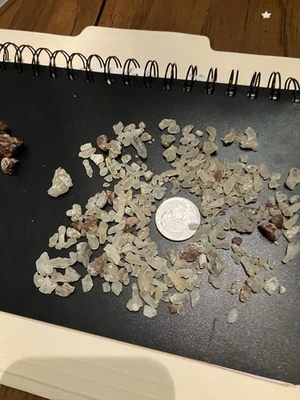 Alligator Piñon Pine Tree Sap- Resin- Pitch from SE New Mexico - Image 1 of 4