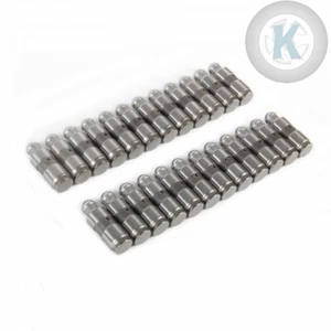 2.9T/3.0T 24*Valve Lifters Fit For AUDI A6 A7 A8 Q7 Q8 #079109423# - Picture 1 of 8