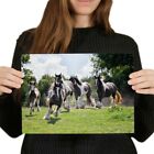 A4  - Gypsy Vanner Horse Herd Poster 29.7X21cm280gsm #45272