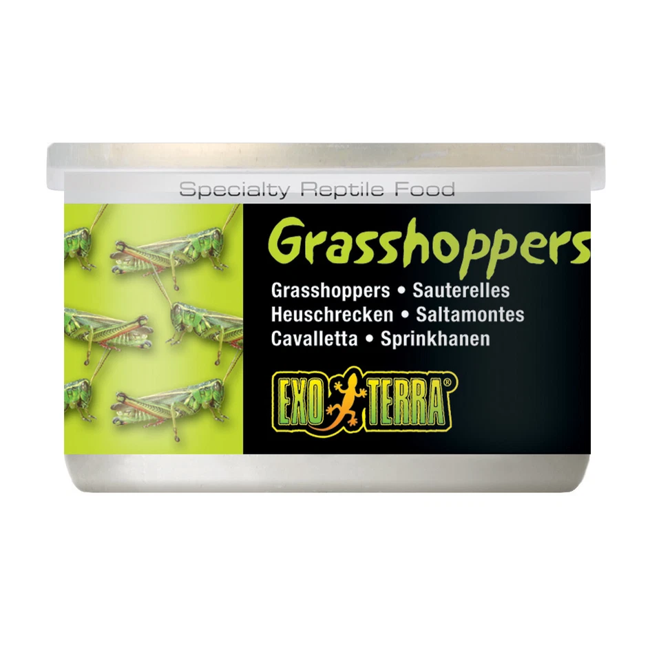 Exo Terra Grasshoppers Dosenfutter (Heuschrecken) 34 g, UVP 6,49 EUR, NEU - Bild 1 von 1