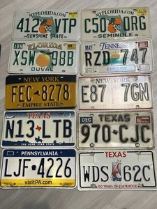 PLACAS DE LICENCIA USADAS FL NY PA TN TX - Imagen 1 de 7