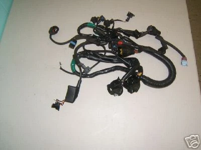 Triumph TT 600 2001 arnés de cables Foto 1 de 1