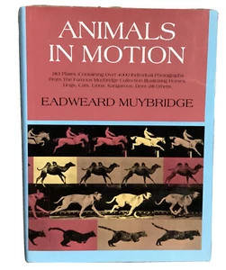 Libro de animales en movimiento fotografía arte animación dibujo 1957 Eadweard Muybridge - Imagen 1 de 22
