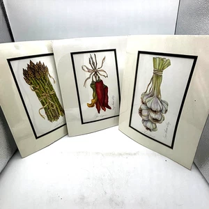 3er Set Karyn Frances grau botanische Küchendrucke Spargel, Knoblauch, Paprika - Bild 1 von 7