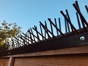 Fence Spikes - Bird Deterrent - Anti Pigeon Spikes - Effective & Easy to Mount - Picture 1 of 6