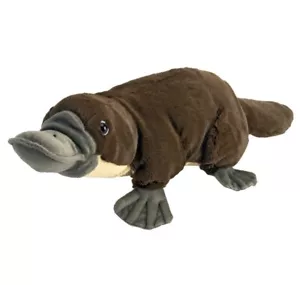 Wild Republic Cuddlekins - Platypus 12" - Picture 1 of 5