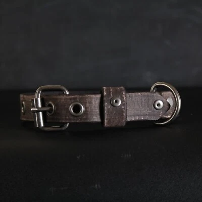 Старый кожаный ошейник для собаки. Ширина 1 дюйм. Гвоздики и люверсы. Коричневый - Изображение 1 из 4
