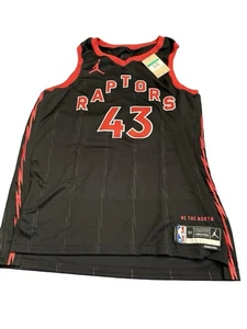 Camiseta Pascal Siakam Nike Toronto Raptors - Nueva con etiquetas - XL - Imagen 1 de 6