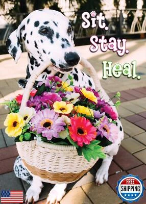 Glory To Dog Sit. Stay. Heal. The World Needs Your Fetching Self... Get Well  - Image 1 of 4