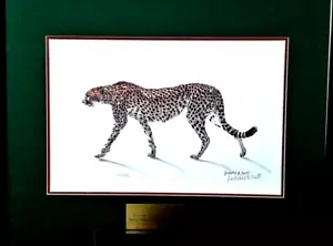 NUMMERIERTER GEPARD DRUCK VON WILDLIFE KÜNSTLER LINDSAY B. SCOTT #55/950 & SIGNIERT - Bild 1 von 12