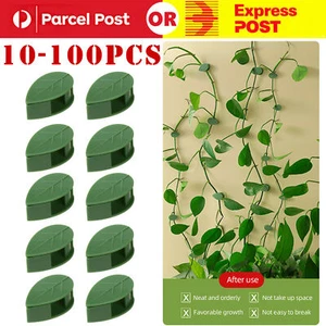 10-100X Plant Vines Fixture Sticky Hook Fixing Clip Climbing Plants Ties Holder - Picture 1 of 13