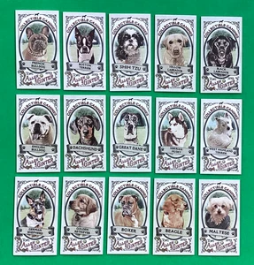 Topps Allen Ginter 2019 Mini juego completo de caninos coleccionables. 25 tarjetas. - Imagen 1 de 2