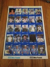 1989 Uncut Card Sheet MLB Minor League Baseball West Palm Beach Expos Star Co.