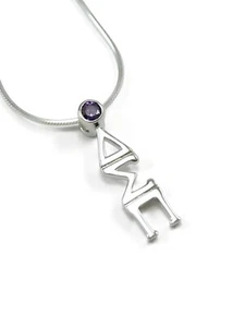 Lavaliere Delta Sigma Pi de plata de ley con circonita cúbica púrpura - Imagen 1 de 1