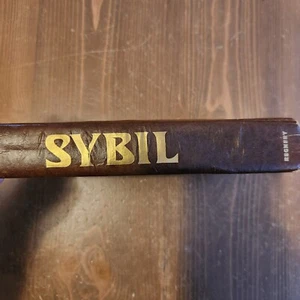 Vtg 1973 Sybil Hardcover 1st Edition Book - Brown Vintage Popular Book - Picture 1 of 12
